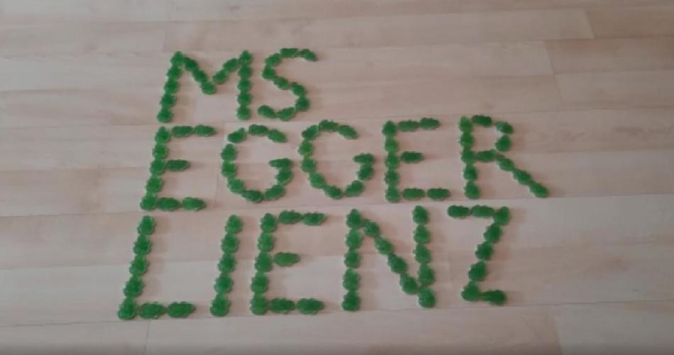 MS EGGER-LIENZ
